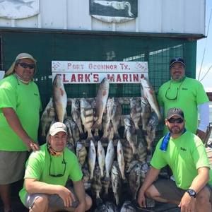 Meet your Posher, Rene